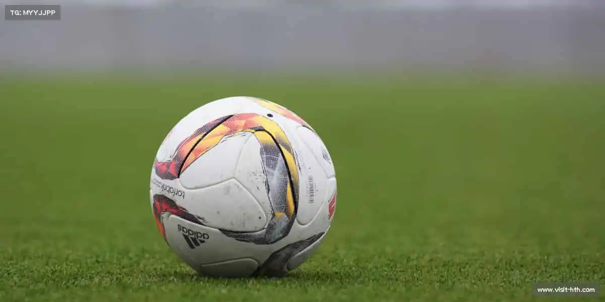 华体会官网——🥾⛰️登山杖指，云端征途！